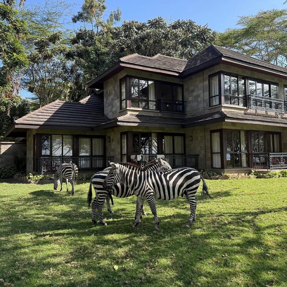THE NAIVASHA LAKE ESCAPE