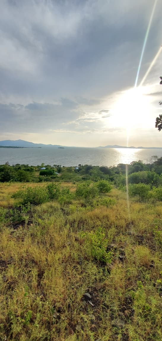 2.5 Acres Uyoma