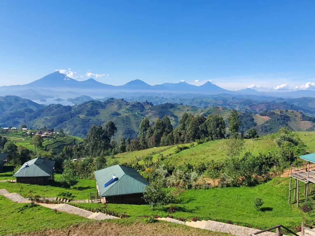 THE BWINDI WILDERNESS RETREAT