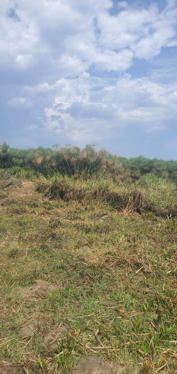 DUNGA BEACHFRONT INVESTMENT PLOT