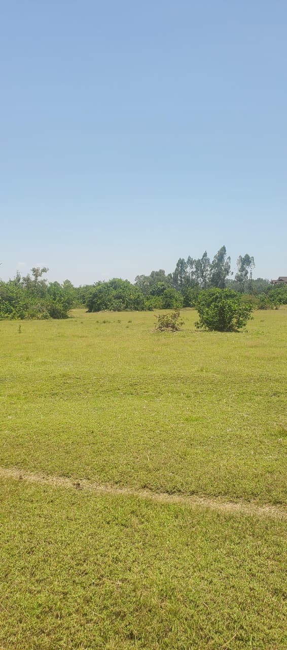 34.6 Acres Daraja mbili