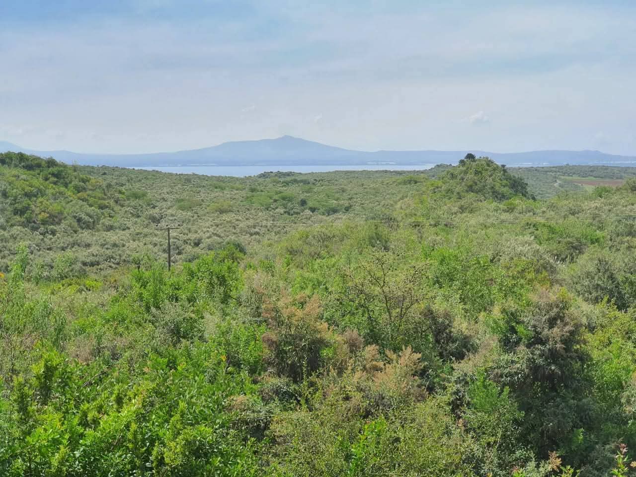 3-Bedroom villa with airstrip
