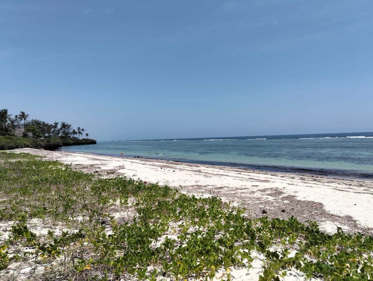 27 Acres Beach front In Diani